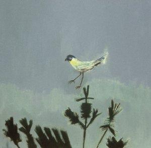 Vreemde vogel landt door David Alan Redpath Michie