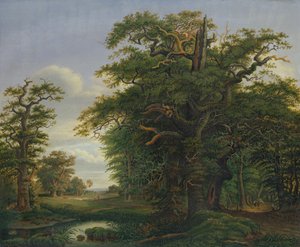Eikenhout, 1847 door David Christopher Mettlerkamp