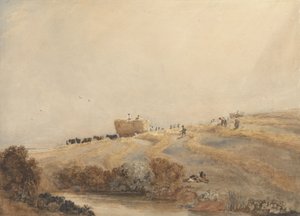 Hooien door David Cox