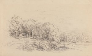 Landschap met bomen door David Cox