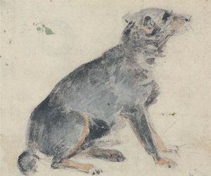 Studie van een hond