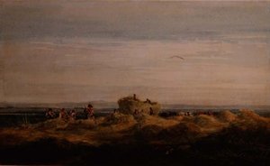 Het Hooiveld door David Cox
