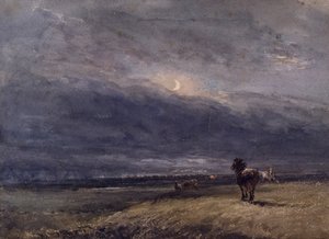 De Nachttrein door David Cox