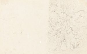 Bomen [verso] door David Cox