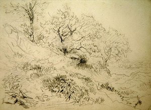 Welsh Landschap door David Cox