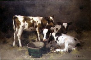 Drie Kalveren