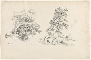 Kastanje en Pijnboom, 1869