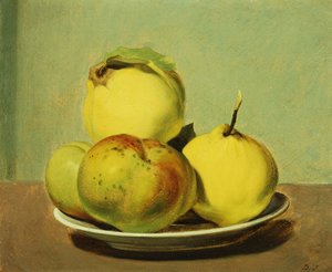 Schaal met appels en kweeperen,