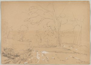 Landschap met vissende man, Conway, New Hampshire door David Johnson