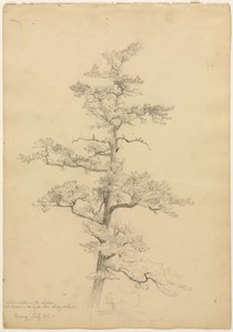Pijnboom, Conway, New Hampshire recto, Landschap en Boomstudies verso, c. 1851