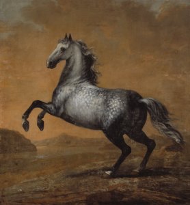 De kleine Engelsman, paard van koning Karl XI (1655-97) door David Klöcker Ehrenstrahl