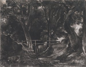 Een dal, Helmingham Park, Suffolk, 1830 door David Lucas