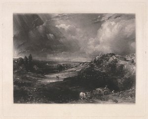 Een heide