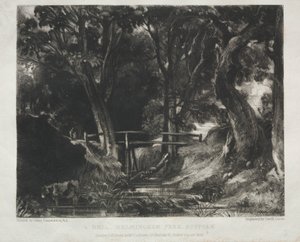 Verschillende Onderwerpen van Landschap, Kenmerkend voor Engels Landschap uit Schilderijen van John Constable, R.A.: Dal in de Bossen van Helmingham Park, Suffolk