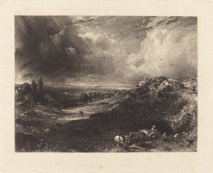 Een Heide