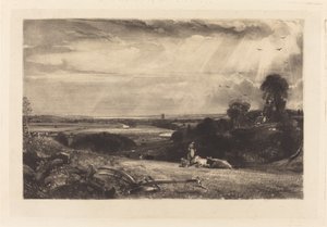 Zomerochtend