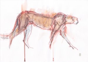 Jachtluipaard op Jacht door David Mayer
