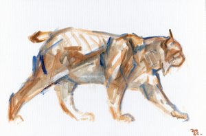 Lynx, 2022 door David Mayer