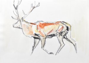 Edelhert