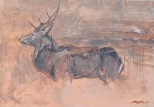 Rode Hert Stag door David Mayer