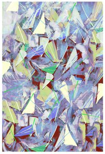 Scherven, Splinters en Dennennaalden, 2017