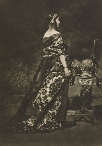 Portret - De Gown en de Kist