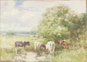 De Schaduwrijke Vijver