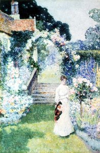 Rozen verzorgen in een Cheshire tuin