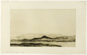 Dinnet Moor