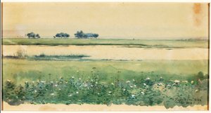 (Landschap met moerassen)
