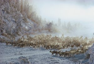 Rendieren, elanden, kariboes of vergelijkbare kudde dieren in een met sneeuw bedekt winterlandschap
