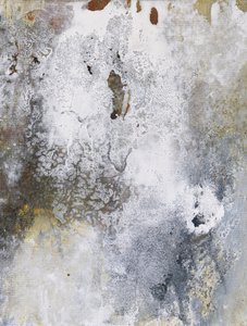  door Deb Chaney