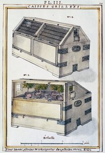 Houten kisten om zeldzame planten op schepen te vervoeren door Delahaye, uit Florindie ou Historie physico-economique des Vegetaux de la Torride door Delahaye Delahaye