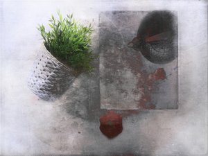  door Delphine Devos