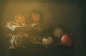  door Delphine Devos
