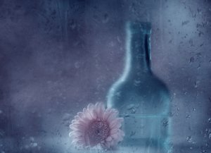 Dromerige Gerbera in de regen door Delphine Devos