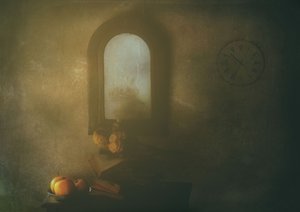  door Delphine Devos