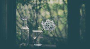 door Delphine Devos