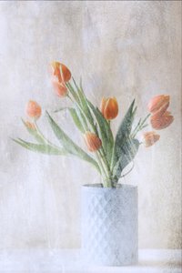  door Delphine Devos