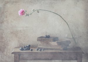 door Delphine Devos