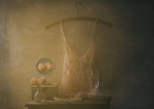  door Delphine Devos