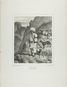 Bannat Herder, Linkeroever van de Donau