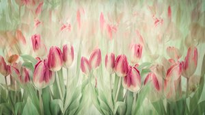 Dromerige roze tulpen