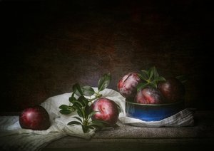 Stilleven met sombere pruimen