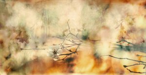  door Desislava Ignatova