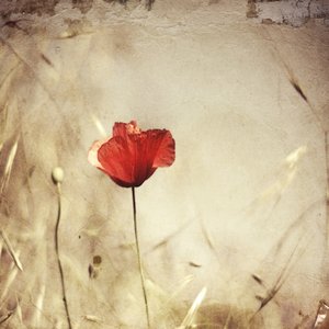  door Desislava Ignatova