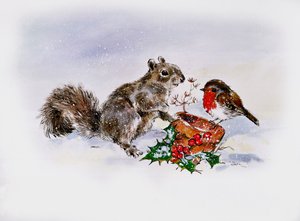De Eekhoorn en de Roodborst door Diane Matthes