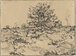 Heide bij Ede