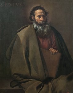 De apostel Paulus