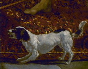 De tuniek van Jozef – Detail van de hond – 17e eeuw – Spaanse barok – Gerestaureerd in 1989